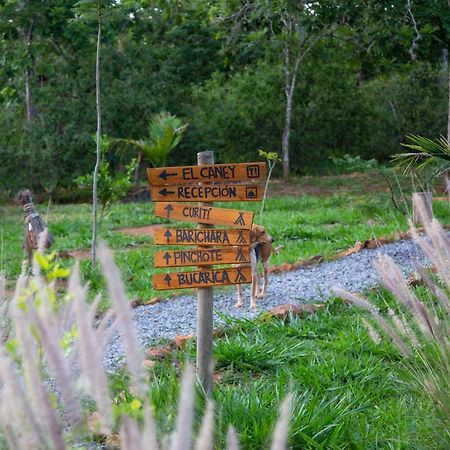 Nativo Glamping Hotel Barichara Exterior photo