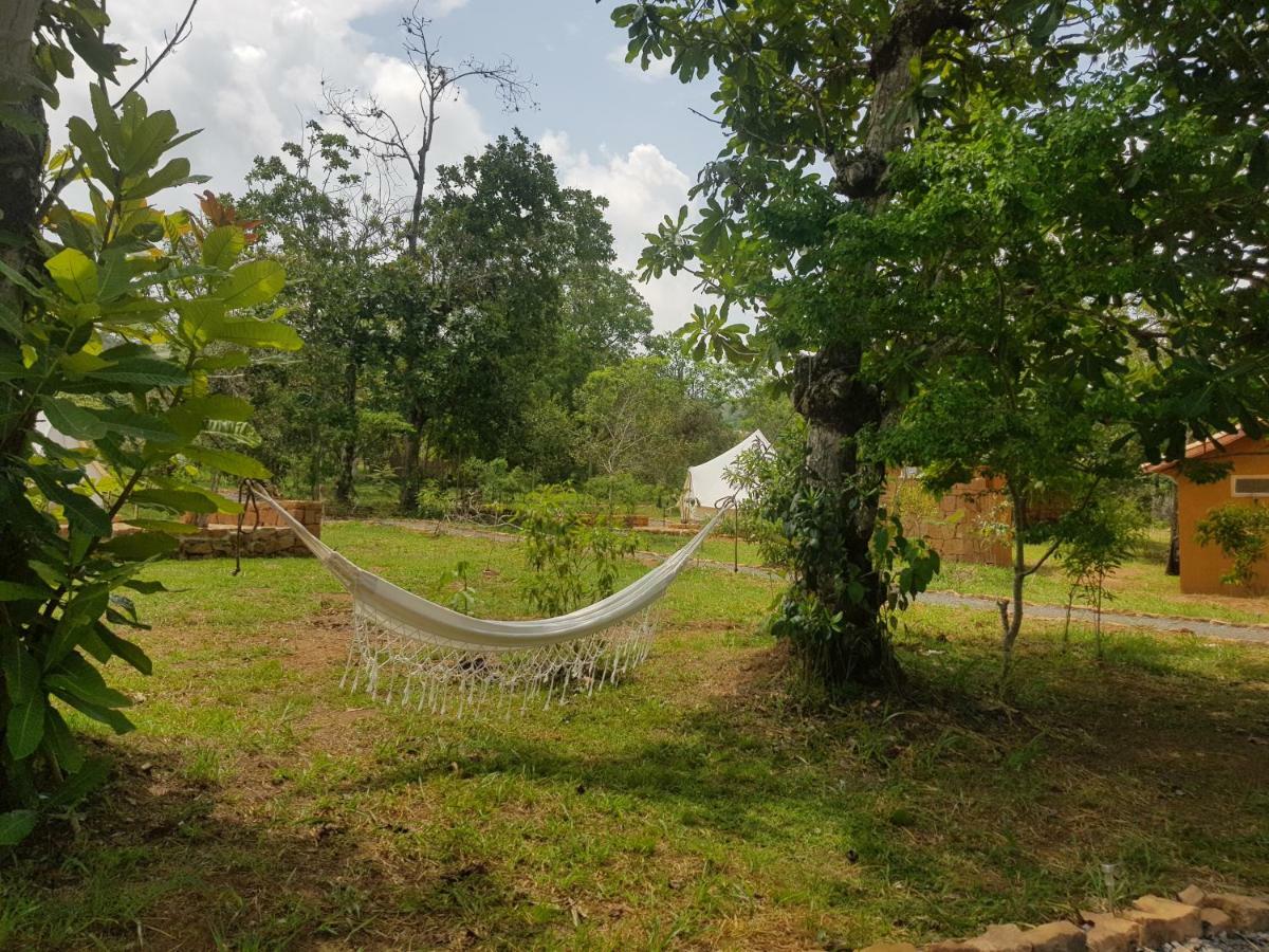 Nativo Glamping Hotel Barichara Exterior photo